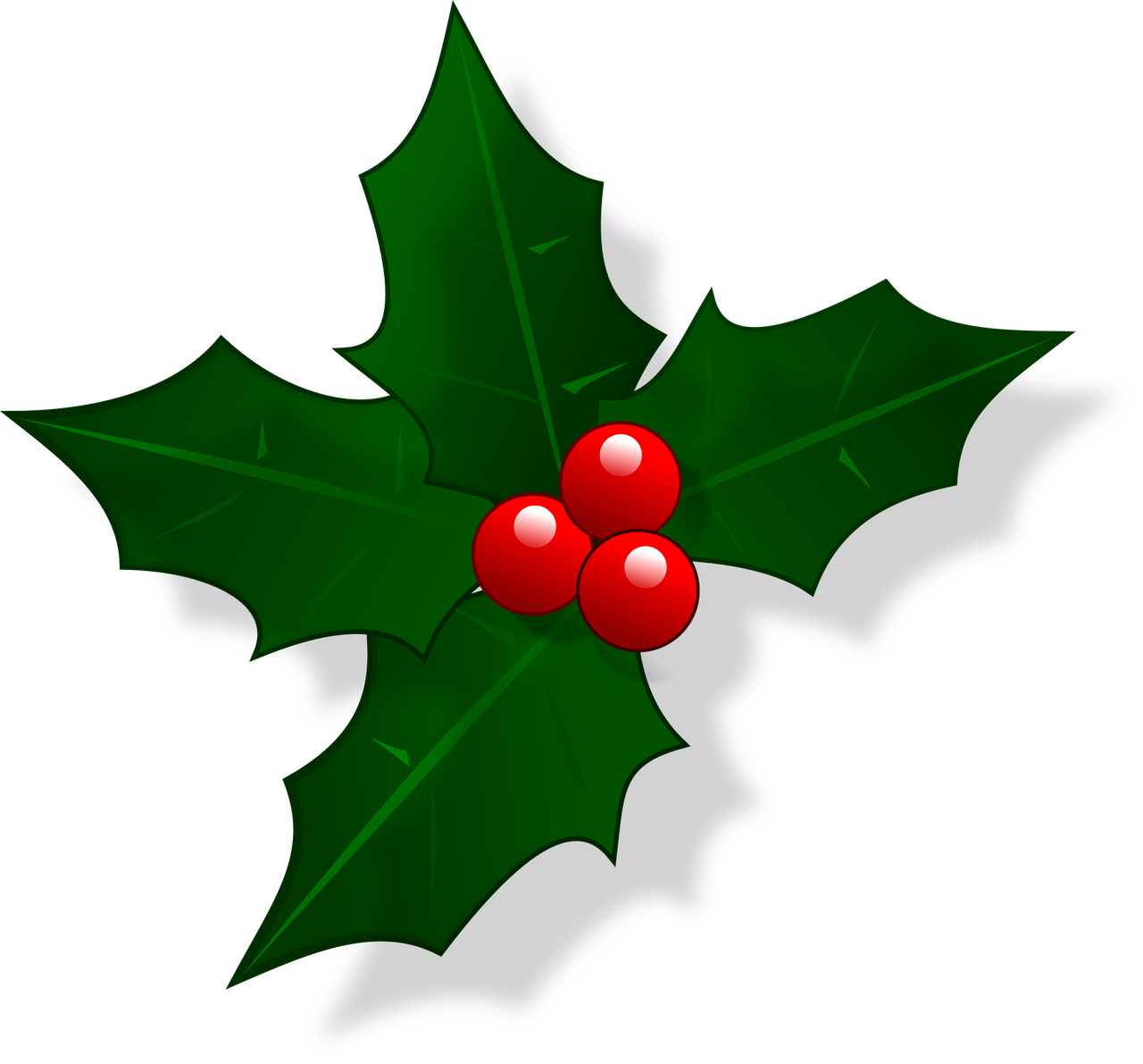 christmas holly picture