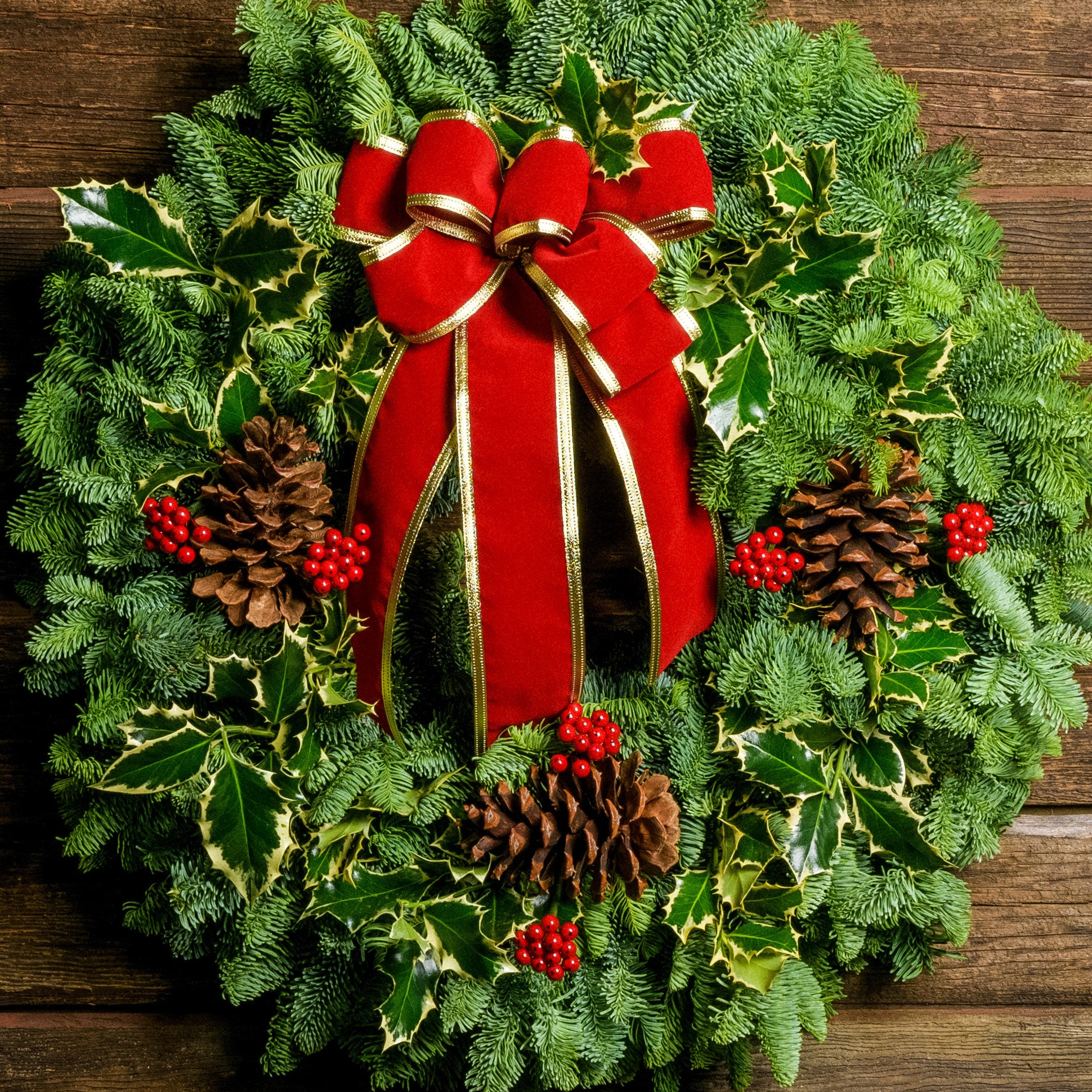 christmas holly pictures