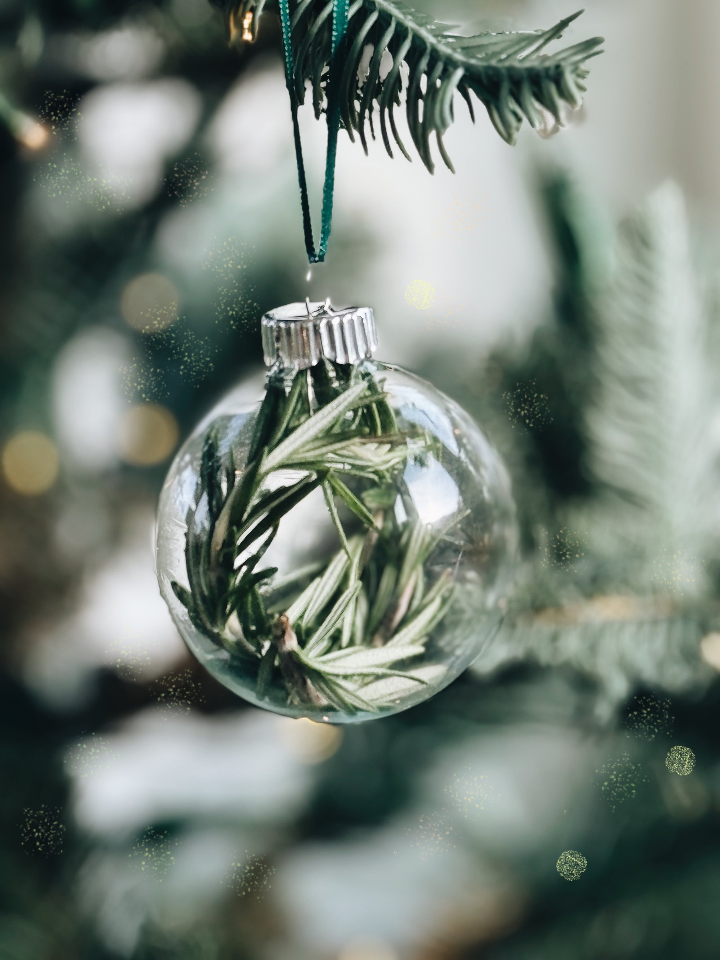christmas ornaments pictures
