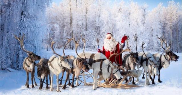 christmas reindeer pictures