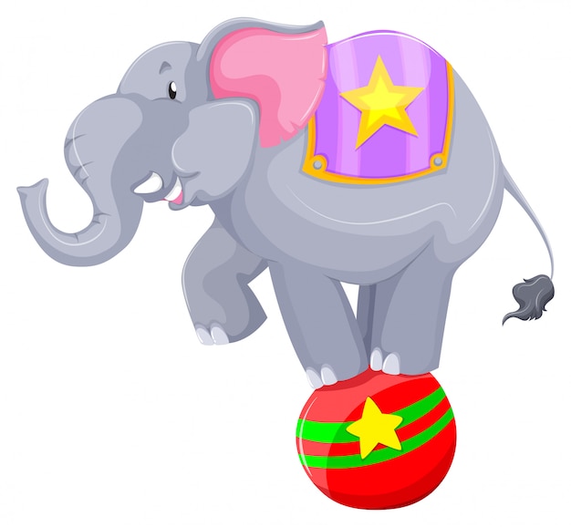 circus elephant cliparts