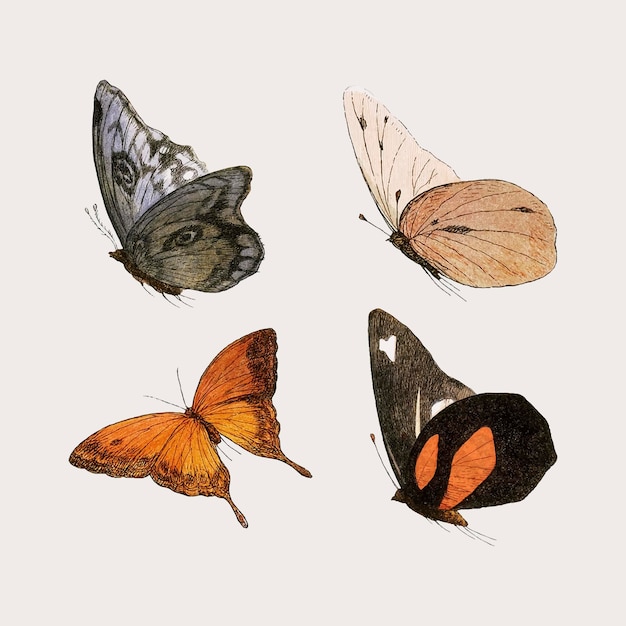 classic butterfly cliparts 2024