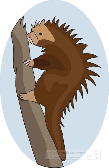 climbing animals cliparts