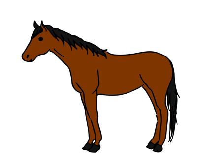 clip art horse