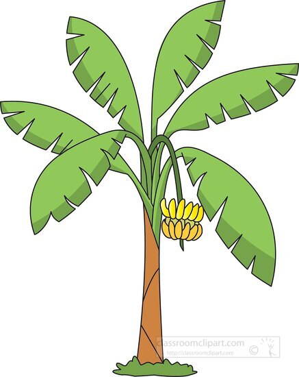 clip art tree