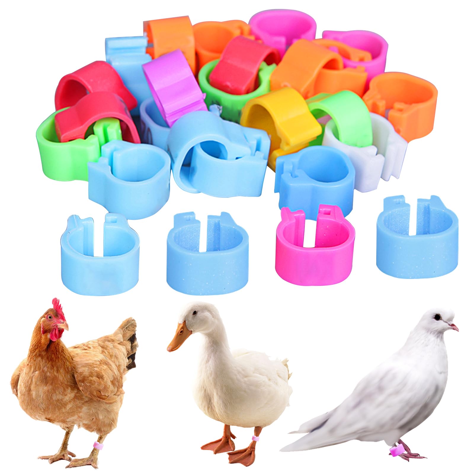 Ueetek 100pcs Plastic Clip On Leg Rings Foot Tag Pigeon Chick Bantam Small Poultry Yellow