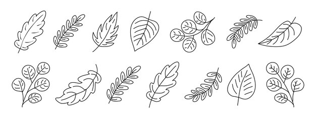 Premium Vector | Leaf illustration set Outline minimalist leaves ...