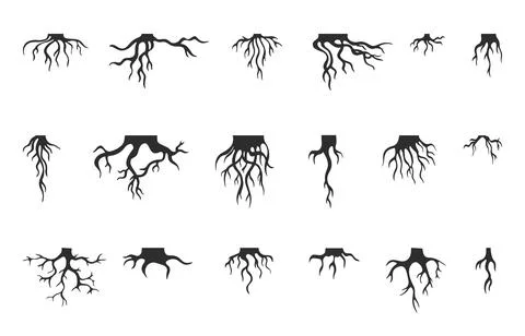 Tree - Green Tree Illustration - CleanPNG / KissPNG