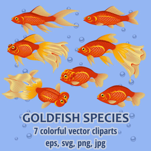 25+ Fish Cliparts for 2024 - MasterBundles
