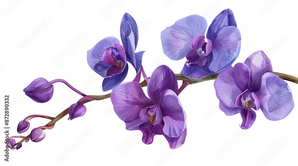 cliparts singapore orchids