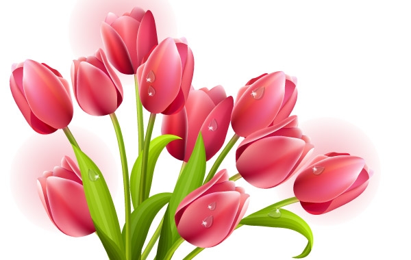 cliparts tulip bouquet