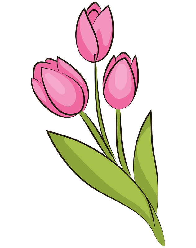 cliparts tulip bouquet