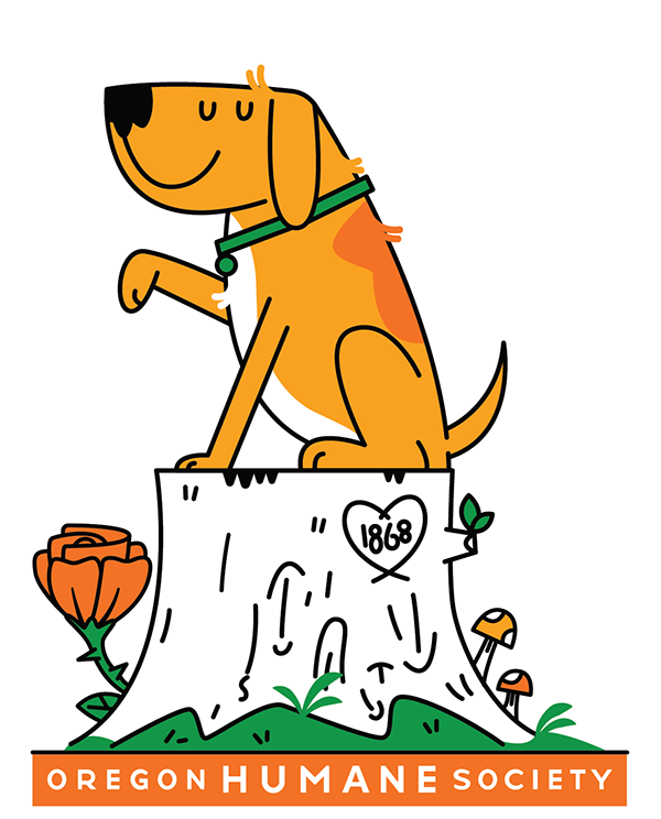 Fundraising Activities - 2024 Doggie Dash
