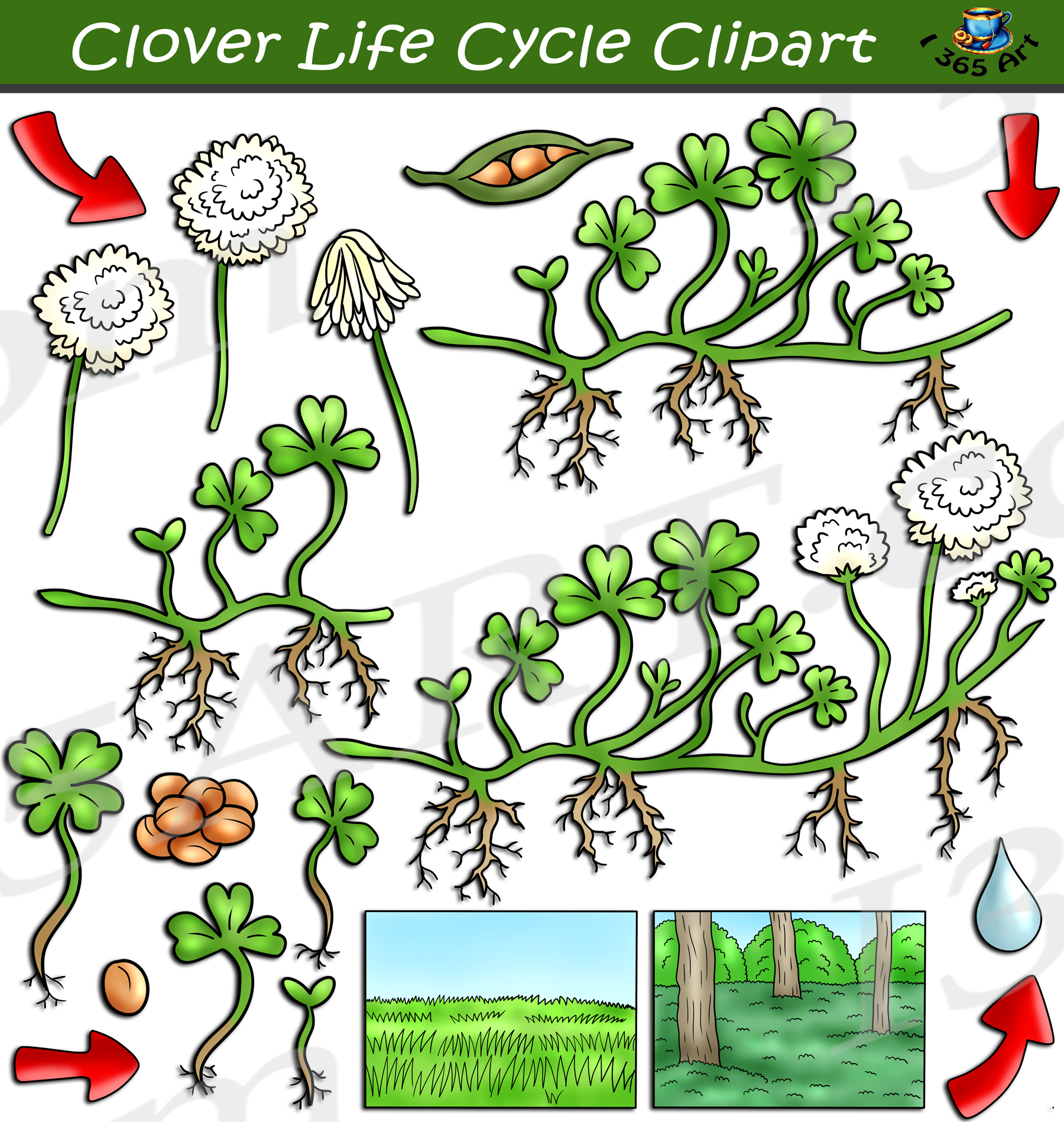 clover cliparts 2024