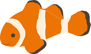 Clownfish - Free vector clipart images on clipart library.com