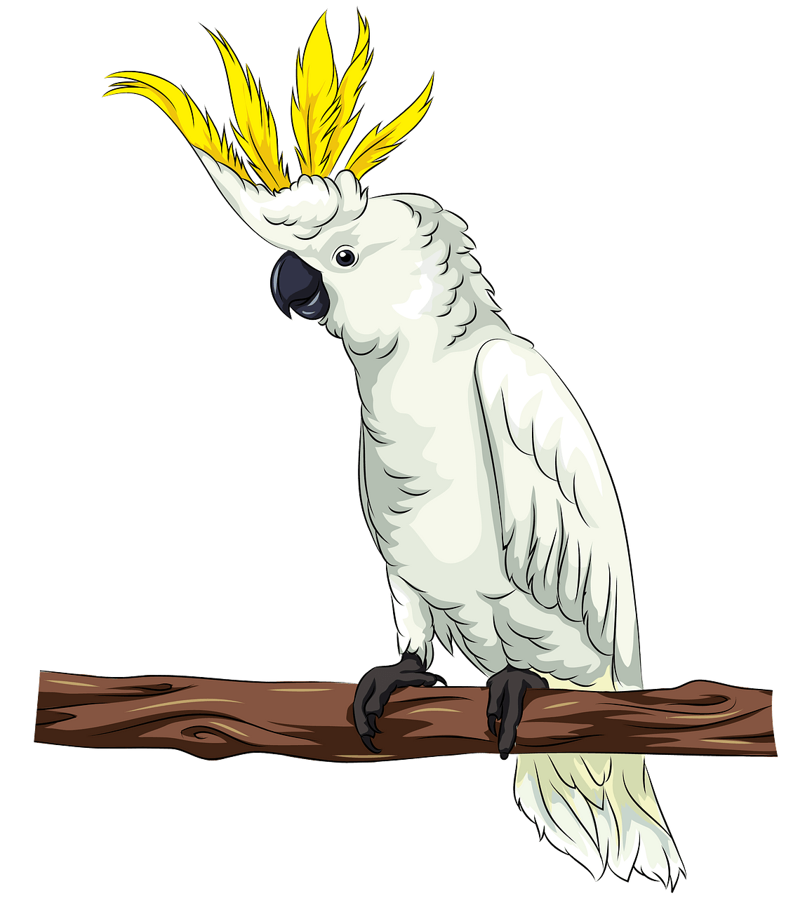 cockatoo cliparts