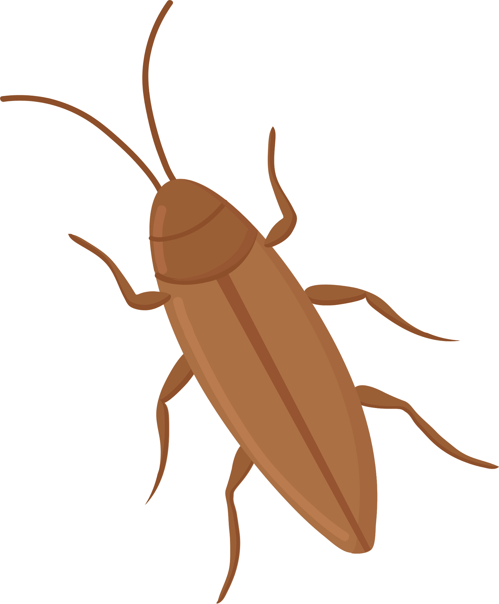 cockroaches cliparts