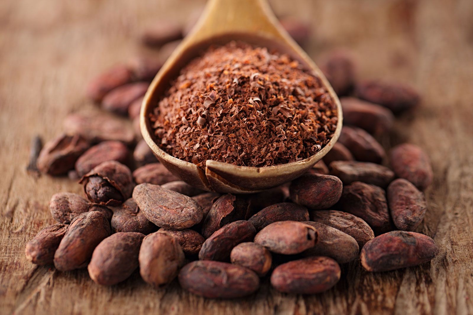 Cocoa | Description, History, Processing, &amp; Products | Britannica
