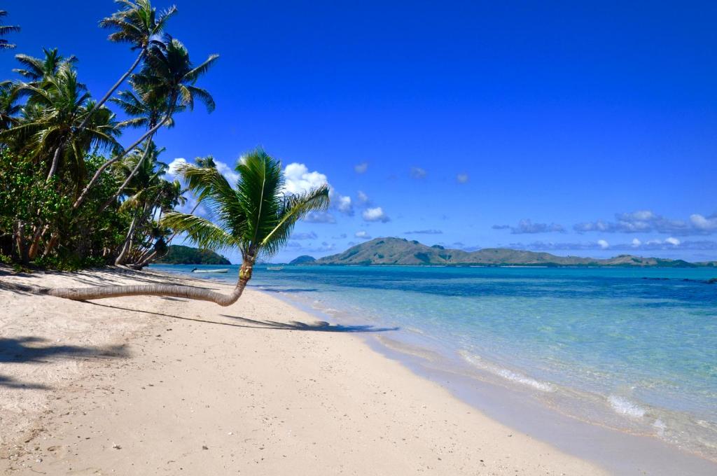 Coconut Beach Resort, Tavewa (aktualisierte Preise für 2025)