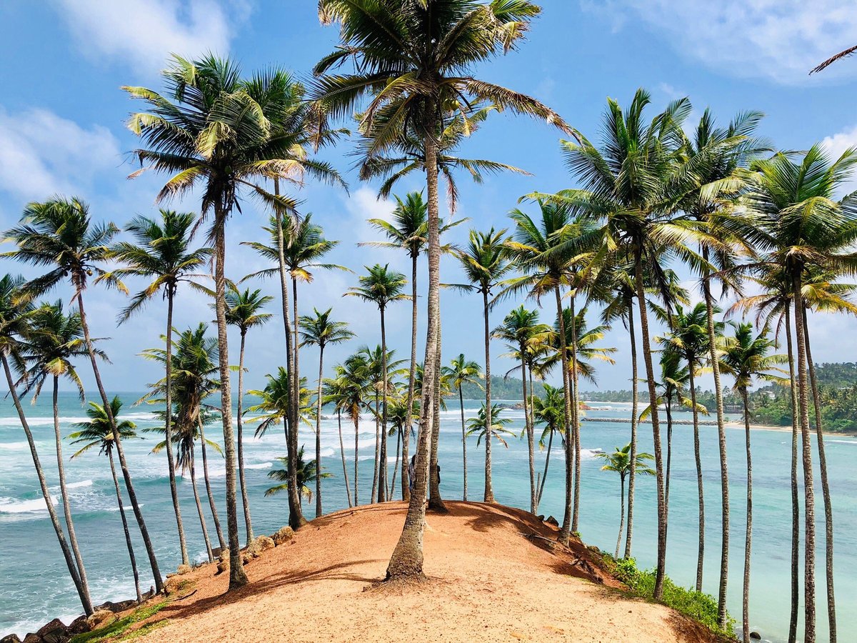 Coconut Tree Hill (Mirissa) - Lohnt es sich? Aktuell für 2024 (Mit ...