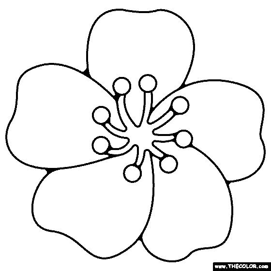 Flower Coloring Pages | Color Flowers Online
