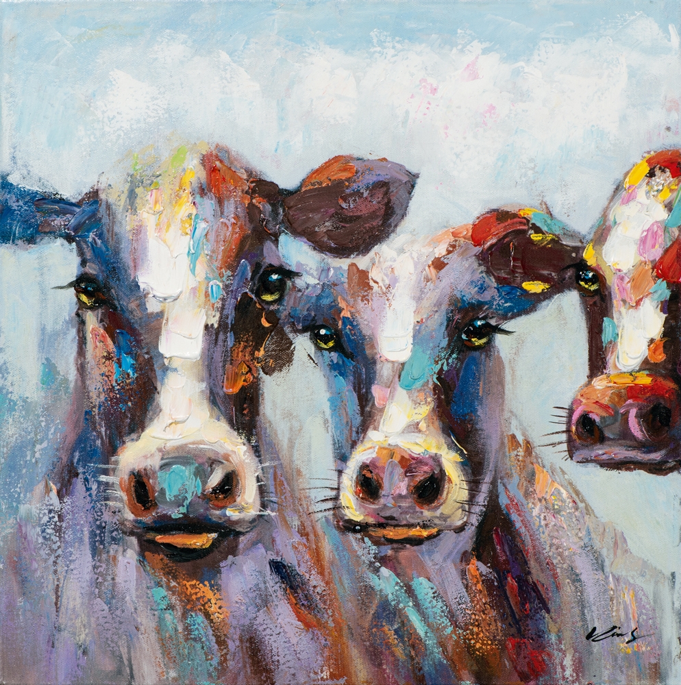 colorful cows