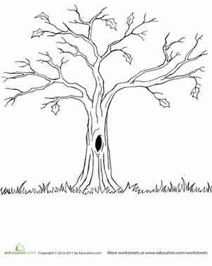 Bare Tree | Worksheet | Education.com
