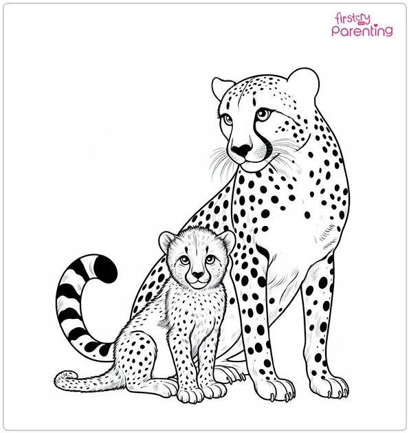 coloring pages of cheetahs