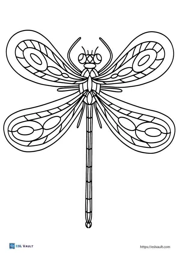 coloring pages of dragonflies