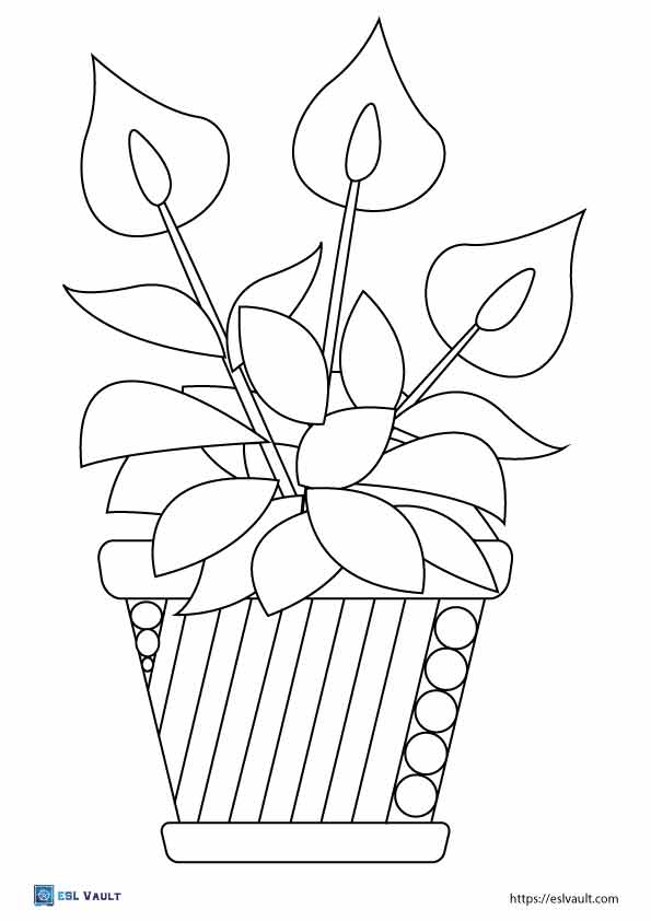coloring pages plants