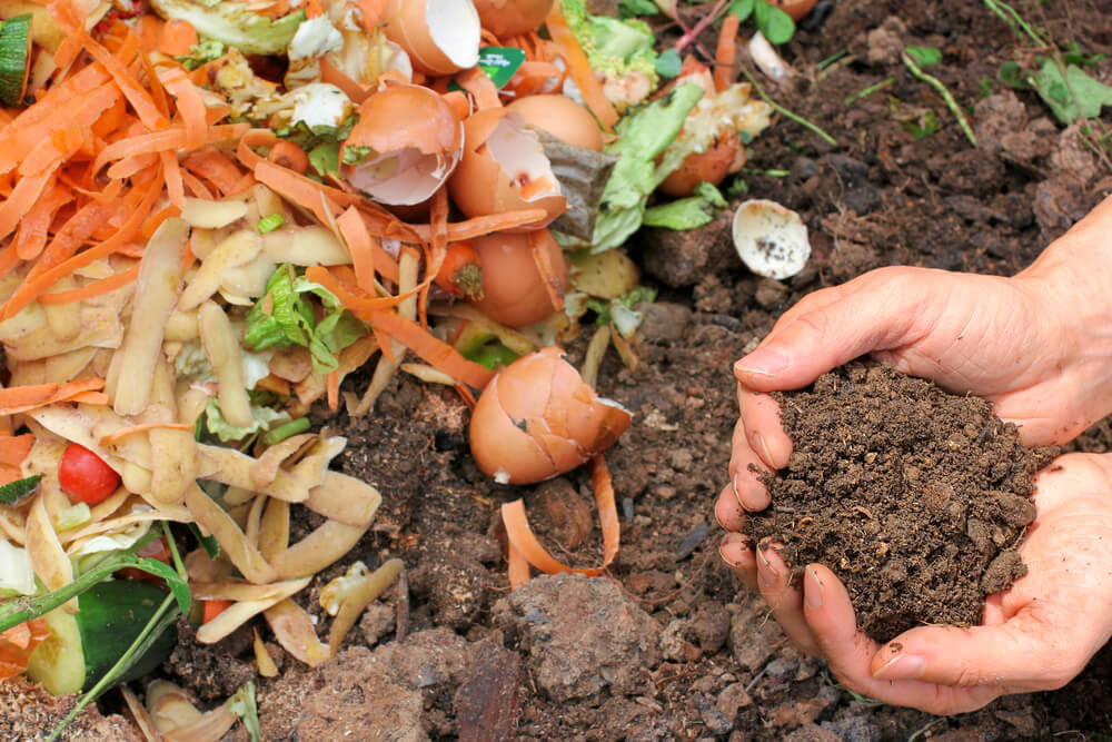Love Food Hate Waste