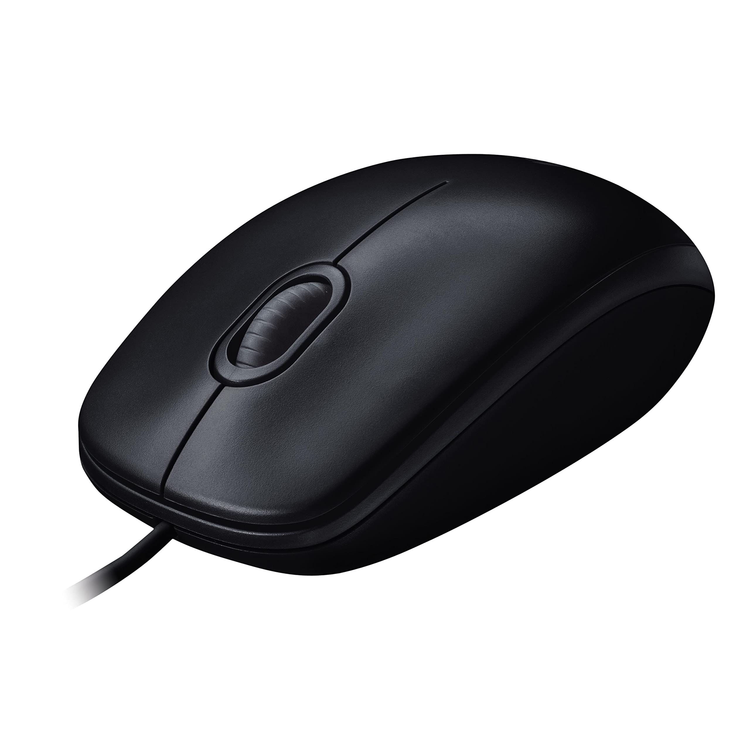 computer mouse