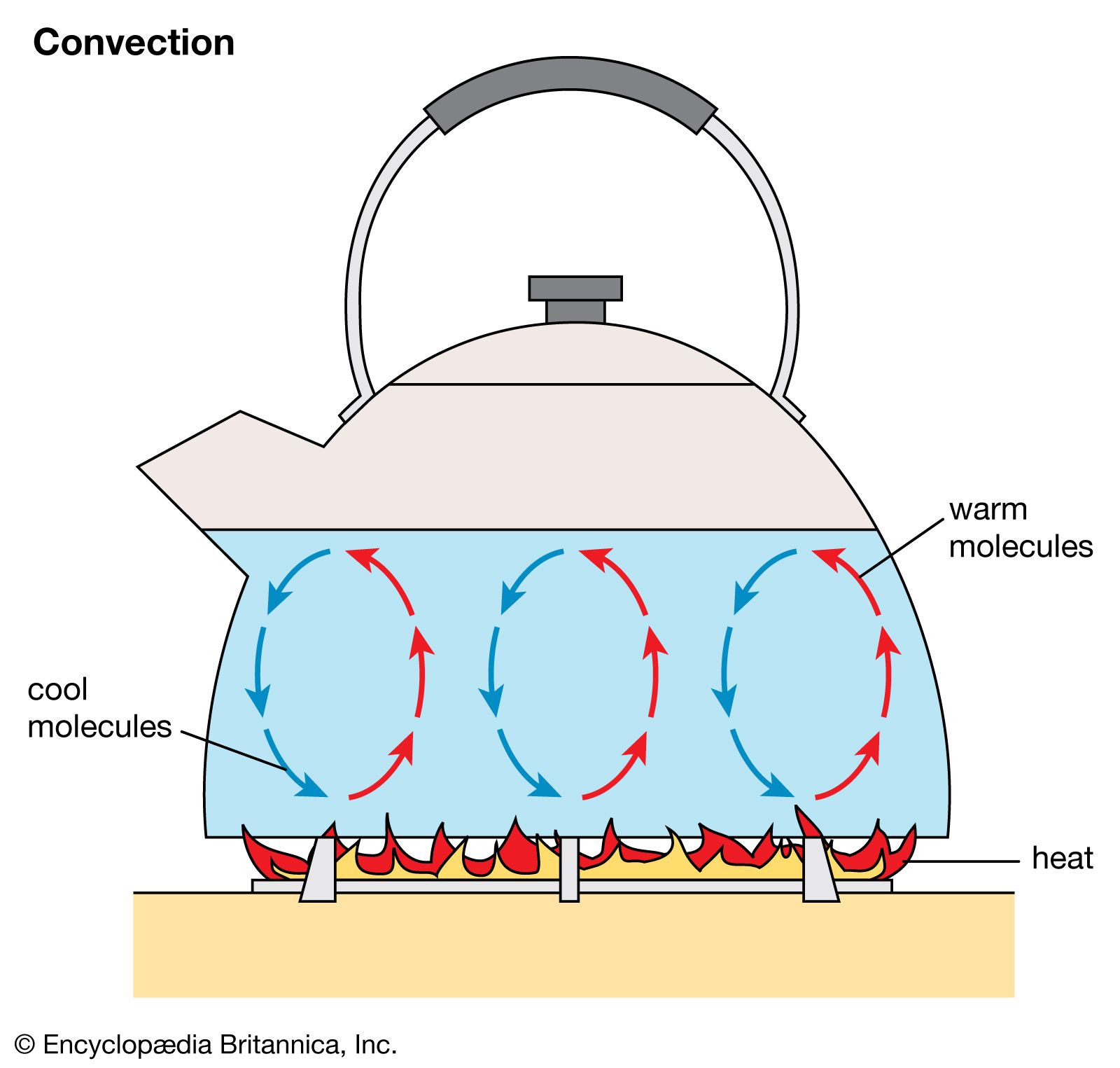 convections