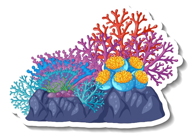 coral cliparts