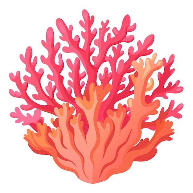 coral cliparts
