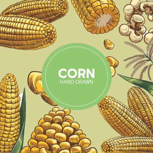 19+ Corn Clipart for 2024 - MasterBundles