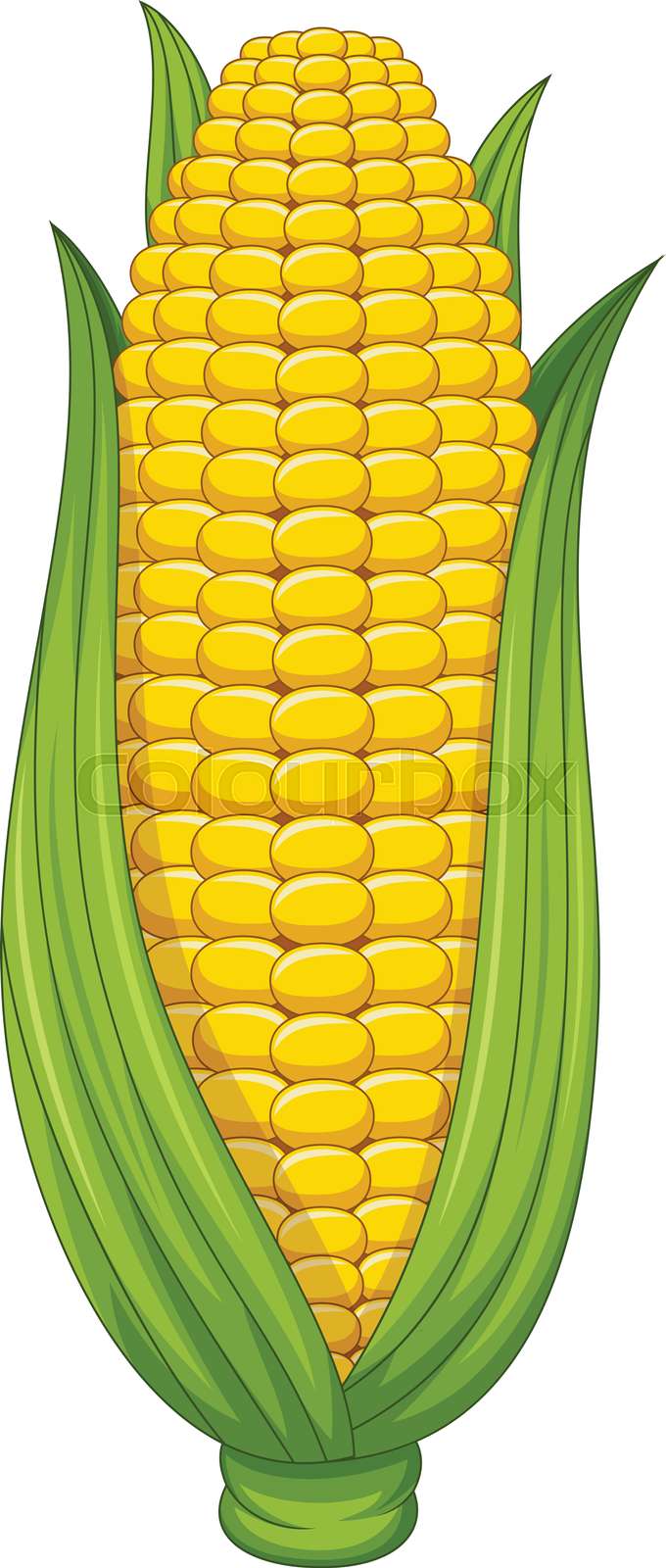 corn on the cob clipart