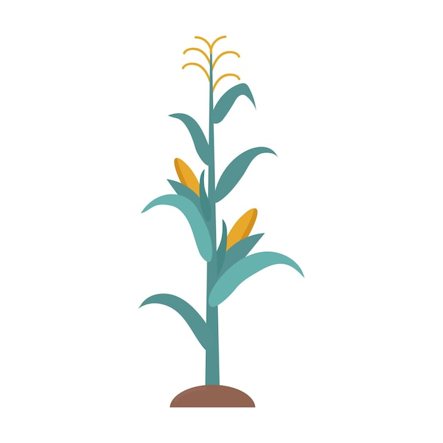 corn stalk clipart