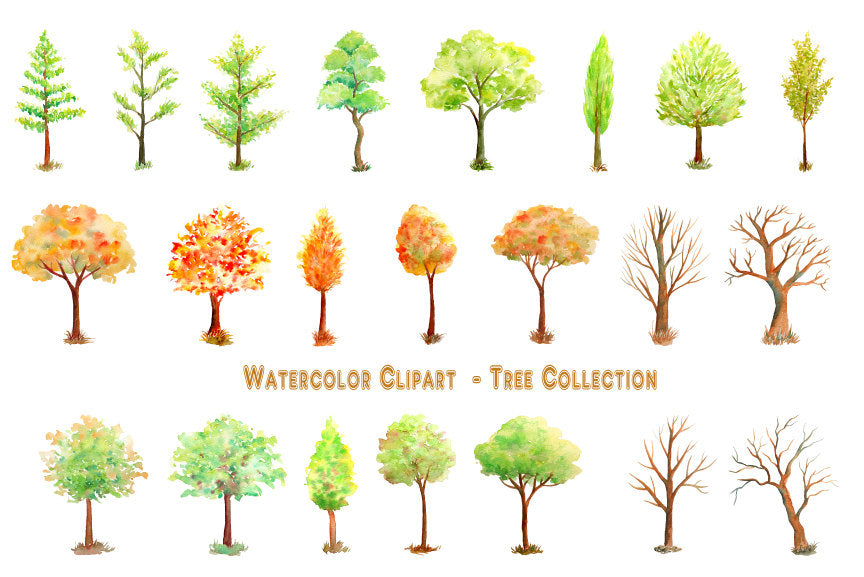 Watercolor clipart tree collection for instant download
