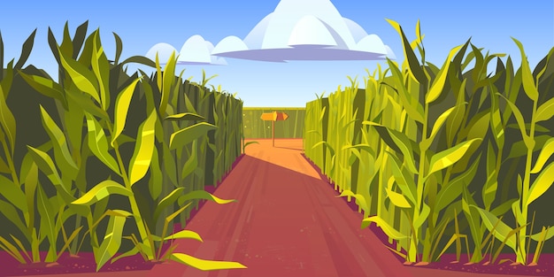 Cornfield Clipart Images - Free Download on clipart library