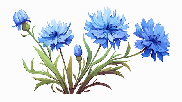 Cornflower Flower Clipart Isolated Vector Illustration | Premium ...