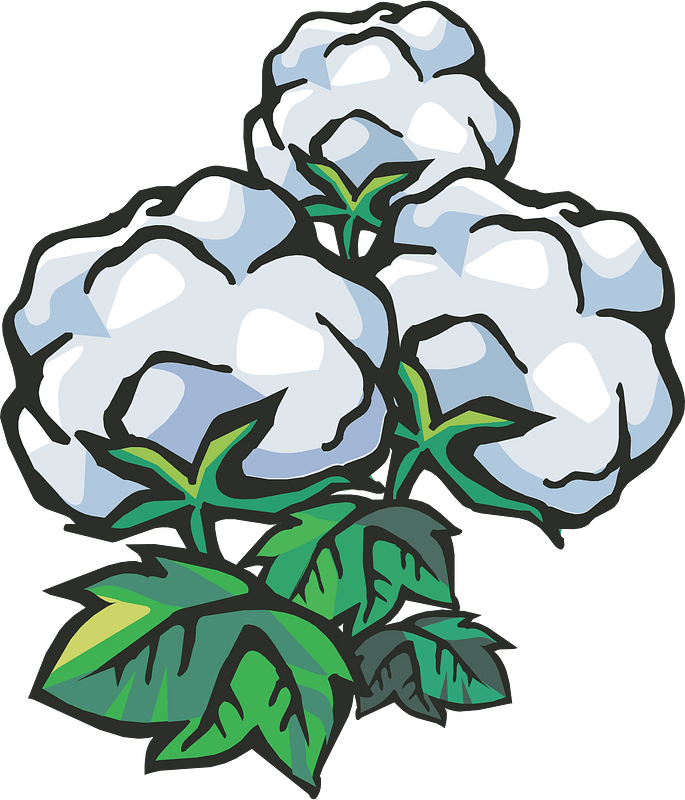 Baumwollfaser - Kostenlose Vektor-Clipart-Bilder auf clipart library.com