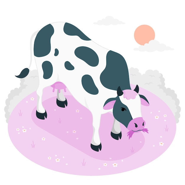 cow illustration