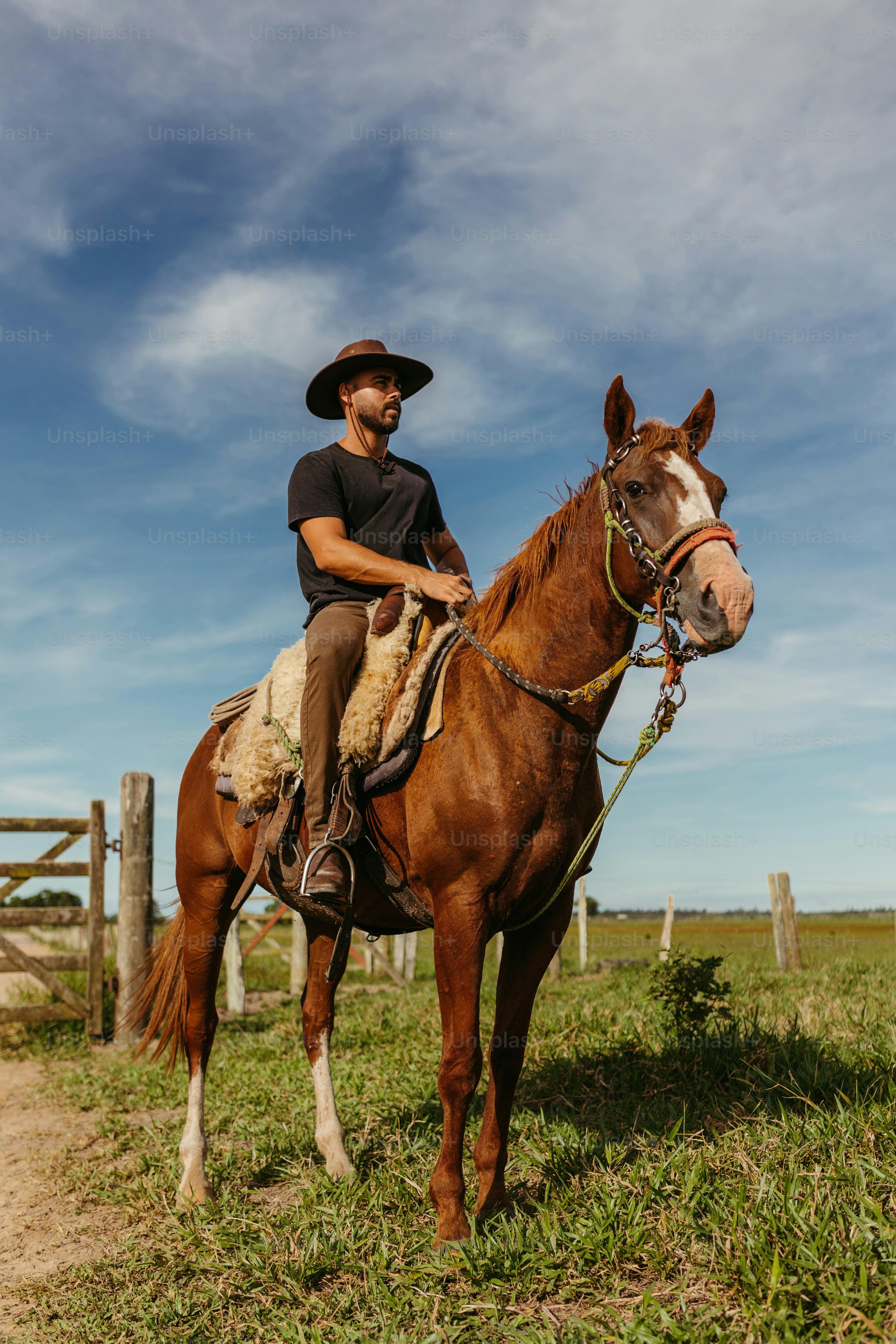350+ Cowboy Pictures [HD] | Download Free Images &amp; Stock Photos on ...