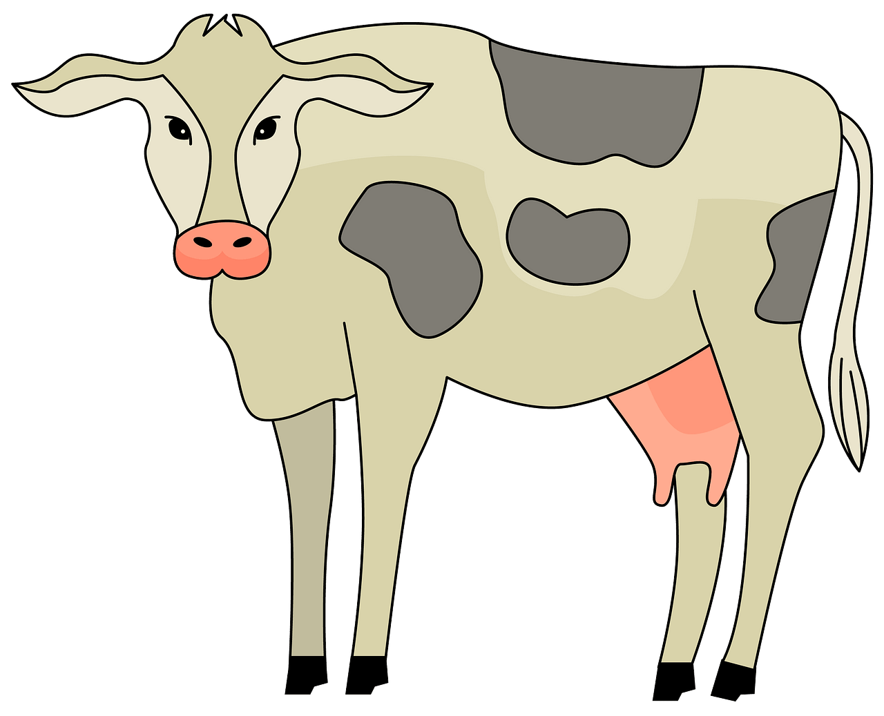 cows clipart