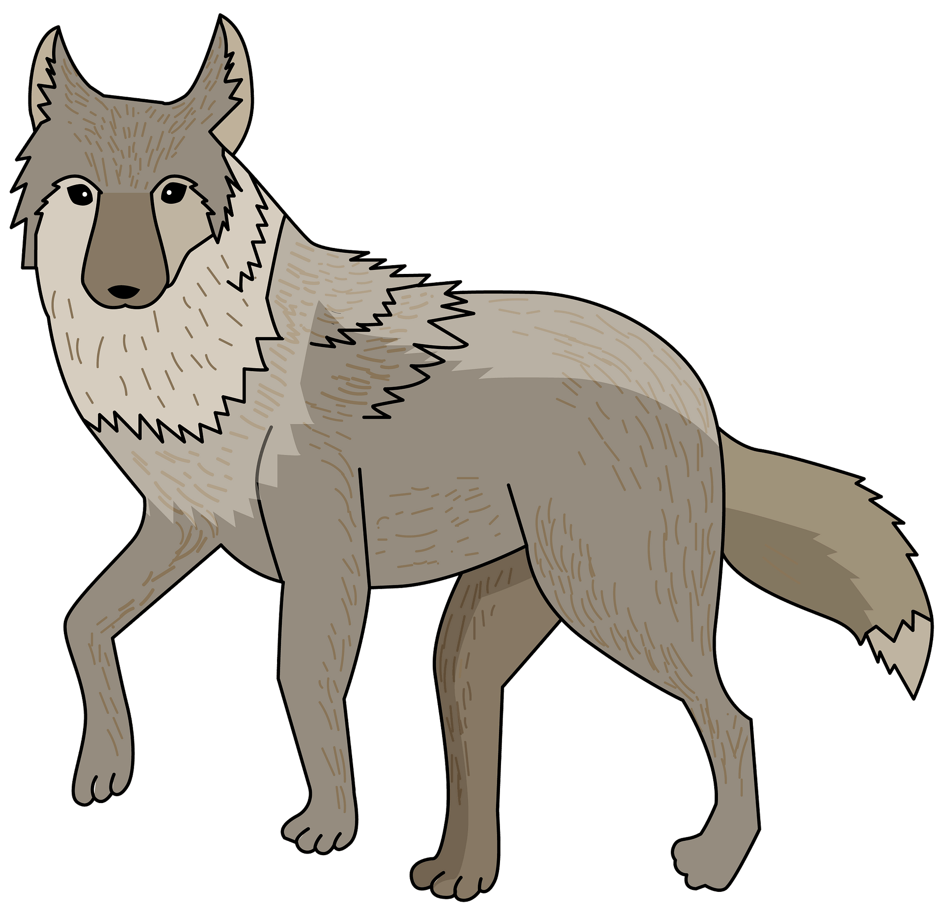coyote cliparts