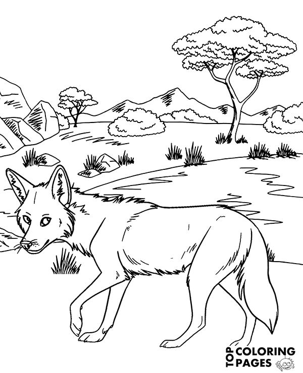 coyote coloring pages