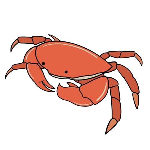 crab clipart
