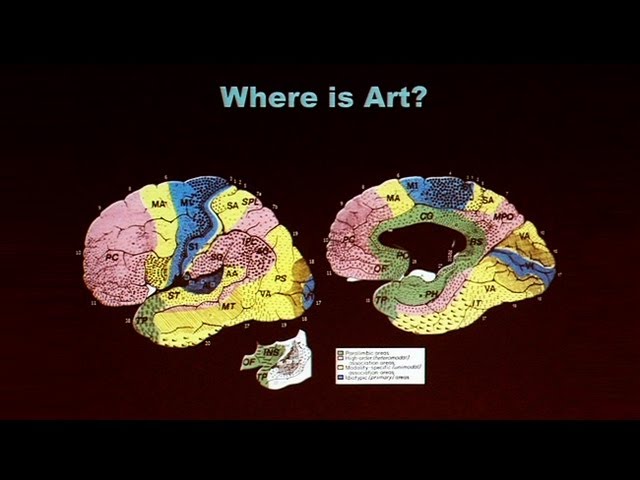 Creative Brains: Music, Art and Emotion
