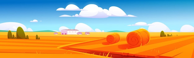 crop field cliparts 2024